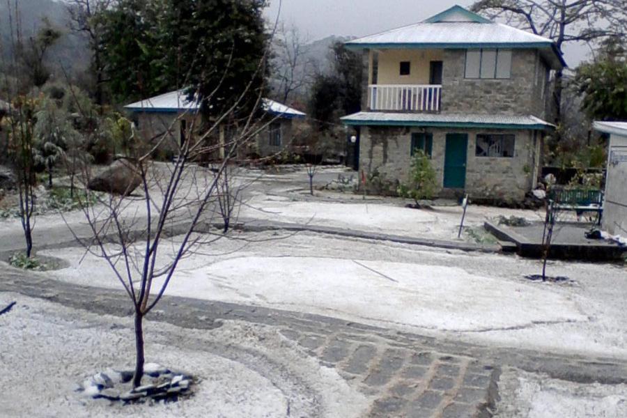 Nagri Resort Pālampur Εξωτερικό φωτογραφία