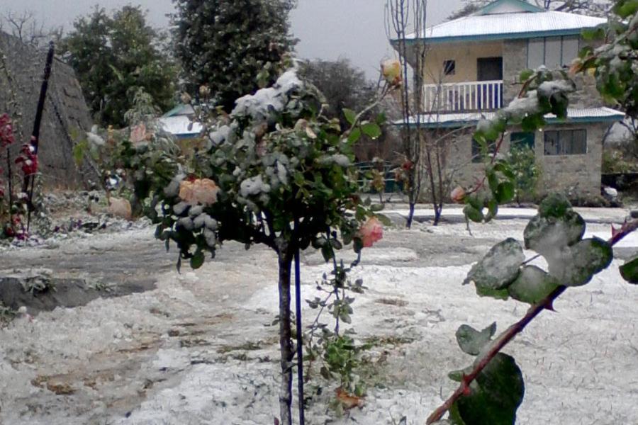Nagri Resort Pālampur Εξωτερικό φωτογραφία